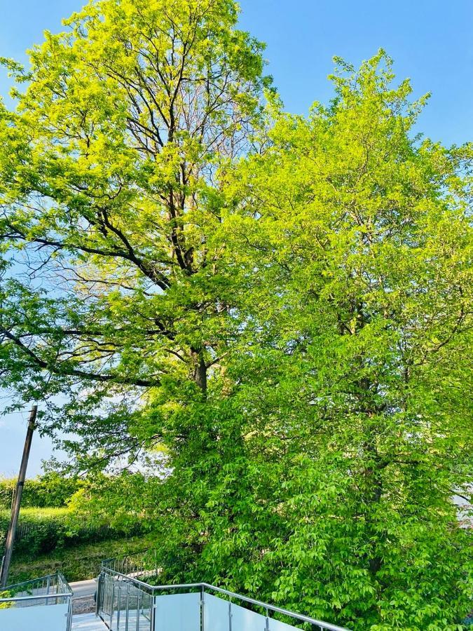Ferienwohnung Waldblick Kaufungen Eksteriør bilde